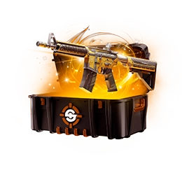 CaseIcon