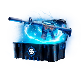 CaseIcon