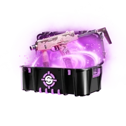 CaseIcon