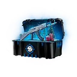 cs2 skin upgrader