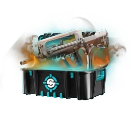 CaseIcon
