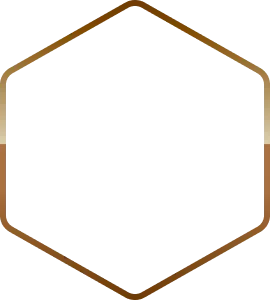 Avatar Level Border