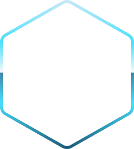 Avatar Level Border