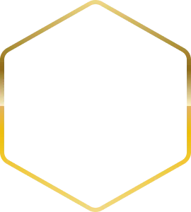Avatar Level Border