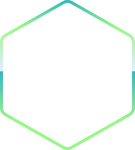 Avatar Level Border