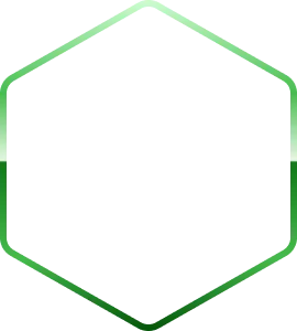 Avatar Level Border