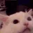 :catrage