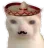 :mexicancat
