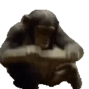 :monkesmash