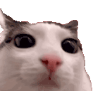 :plink