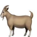 :thegoat