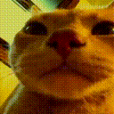 :vibecat