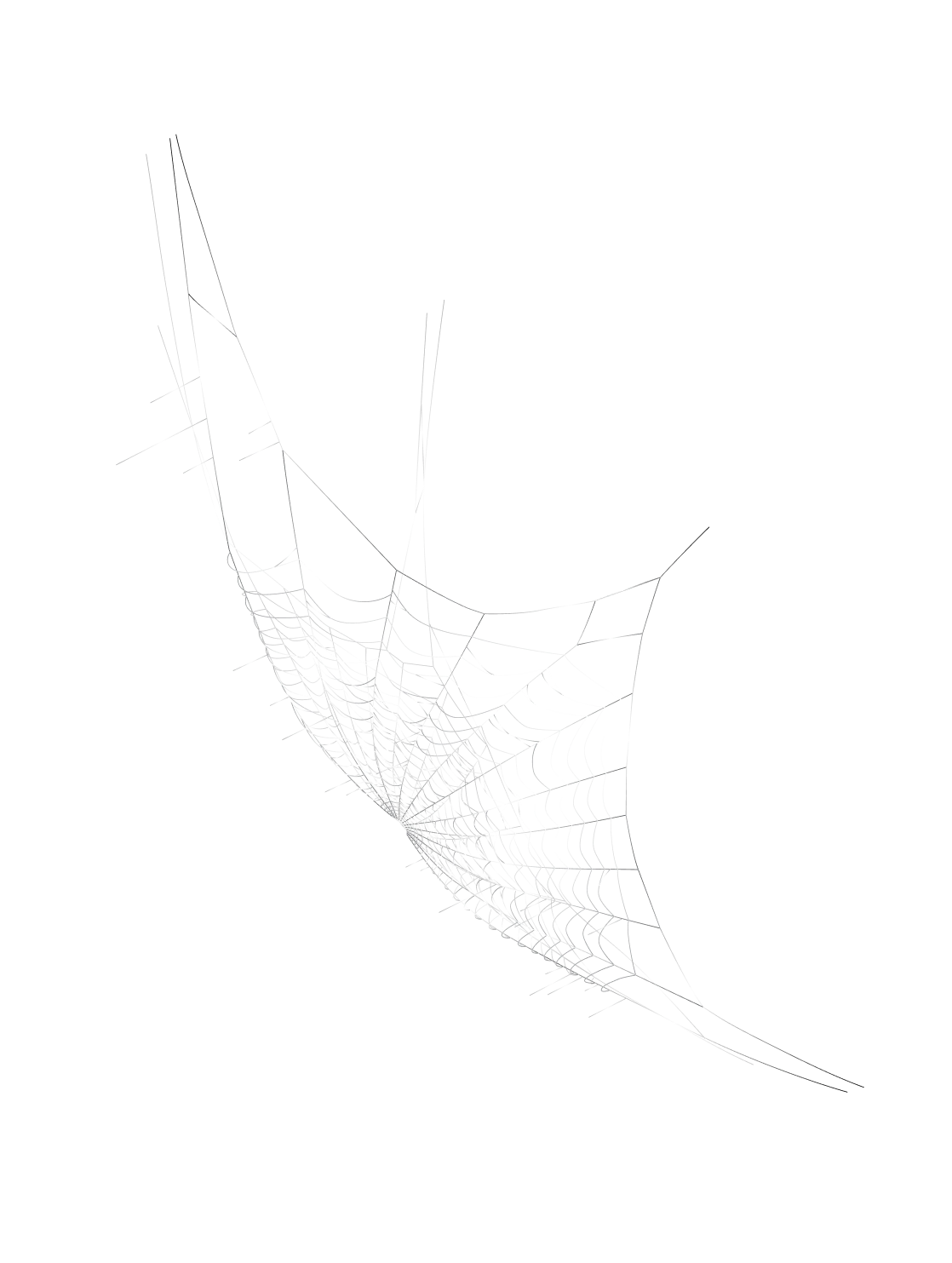 net-image